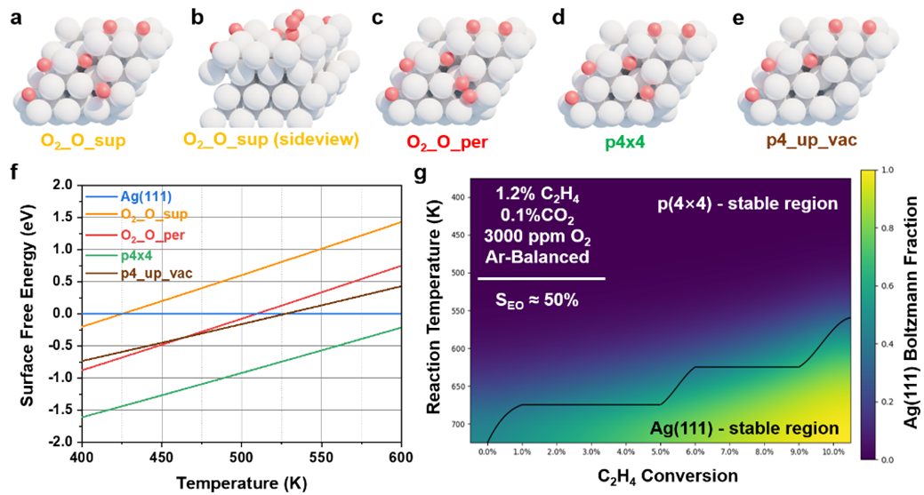 ACS Catalysis：原位拉曼+SSITKA，銀催化乙烯環(huán)氧化的全新機理解析