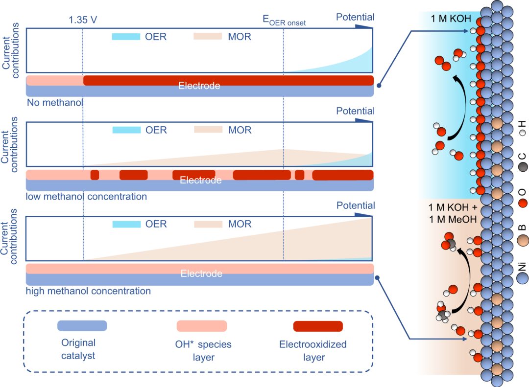 【計(jì)算+實(shí)驗(yàn)】頂刊案例解讀：Angew、Nature子刊、Adv. Sci. 、Nano Energy、AM、AFM等最新成果！