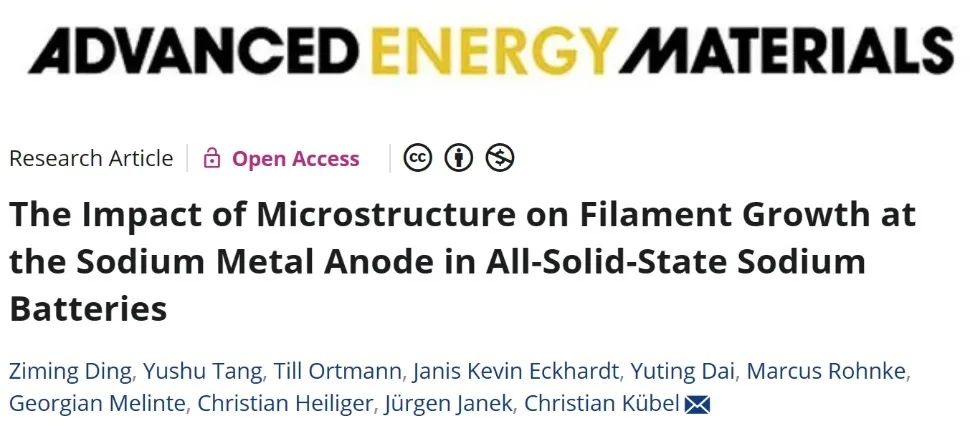 ?烏爾姆亥姆霍茲研究所AFM：微觀結構對鈉金屬負極絲生長的影響