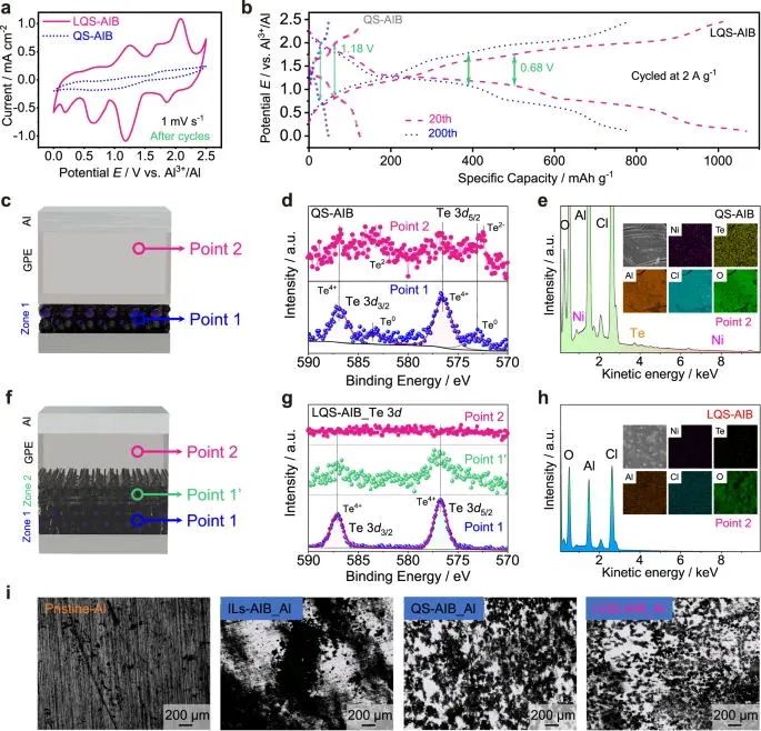 ?北科焦樹強(qiáng)等，最新Nature子刊！