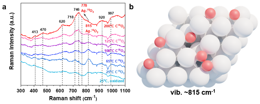 ACS Catalysis：原位拉曼+SSITKA，銀催化乙烯環(huán)氧化的全新機理解析