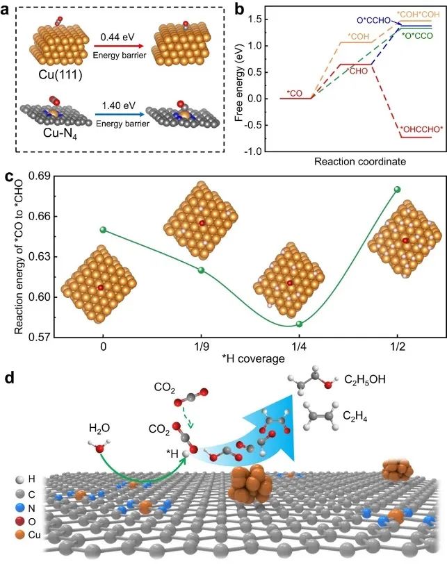 一周兩篇頂刊！韓布興院士等人連發(fā)JACS、Nature子刊！