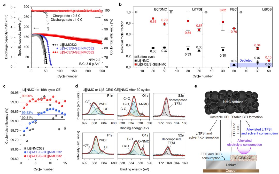 Nature子刊：遷移數(shù)0.96！單離子導體助力高能鋰金屬電池