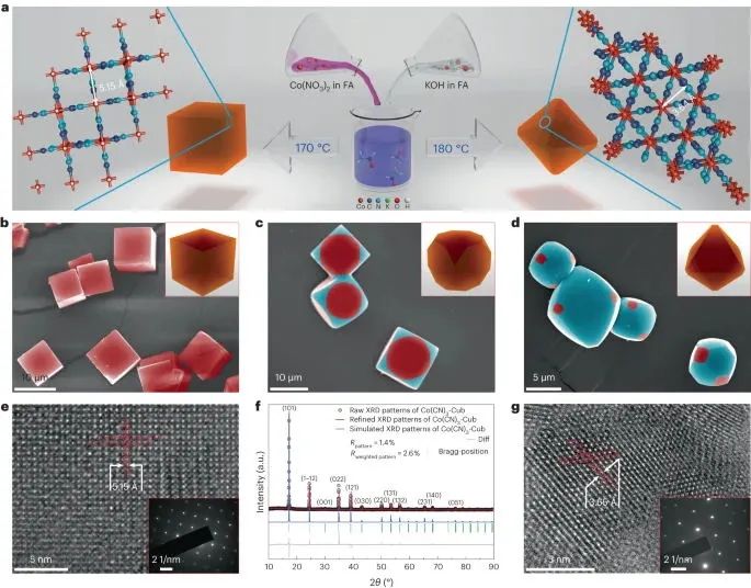 北化工，最新Nature Catalysis！