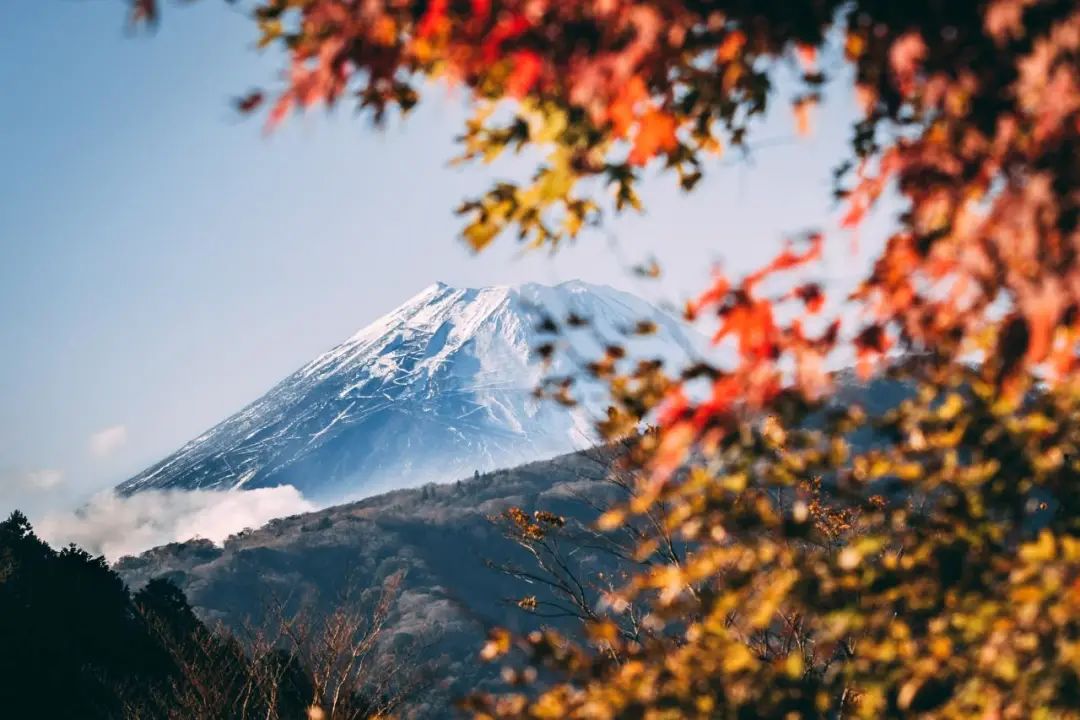 全球?qū)W術(shù)界震驚：五名造假最狠學(xué)者竟出自同一國家！