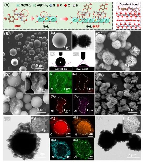 催化日報||頂刊集錦：Nature子刊/JACS/Angew/AM/ACS Catal./ACS Energy Lett.等成果