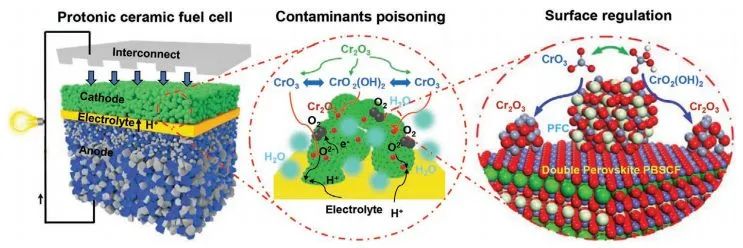 AEM: Pr0.9Co0.3Fe0.7O3起大作用，增強(qiáng)雙鈣鈦礦電極的ORR性和污染物中毒耐受性