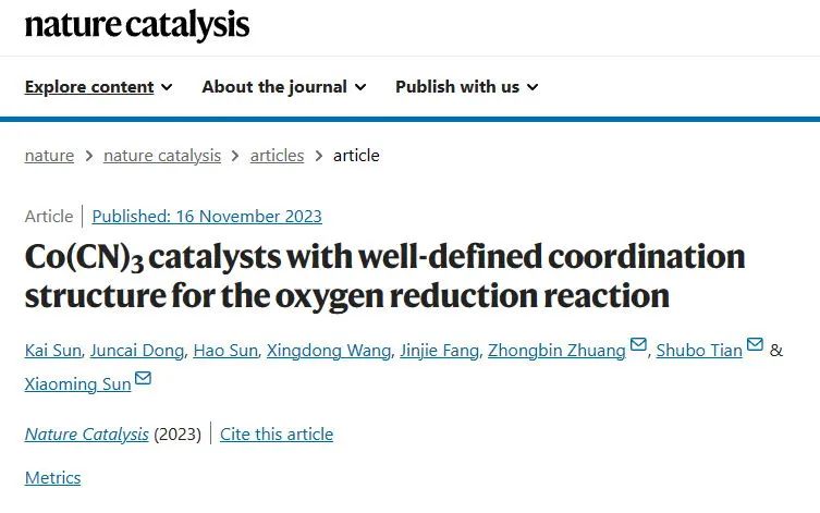 北化工，最新Nature Catalysis！