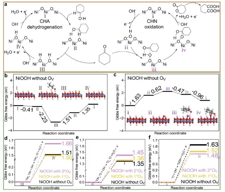 ?復(fù)旦/暨大JACS：調(diào)節(jié)催化劑表面Ni3+和OV含量，定向電合成己二酸和環(huán)己酮