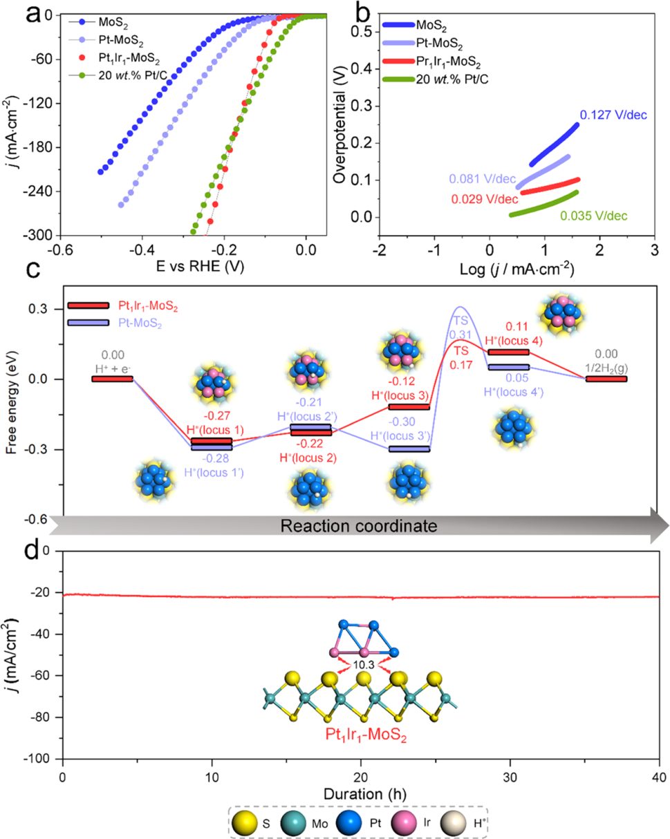 【MS計(jì)算解讀】ACS Catalysis：氫溢出基氫演化二元電催化劑的發(fā)現(xiàn)：理論與實(shí)驗(yàn)