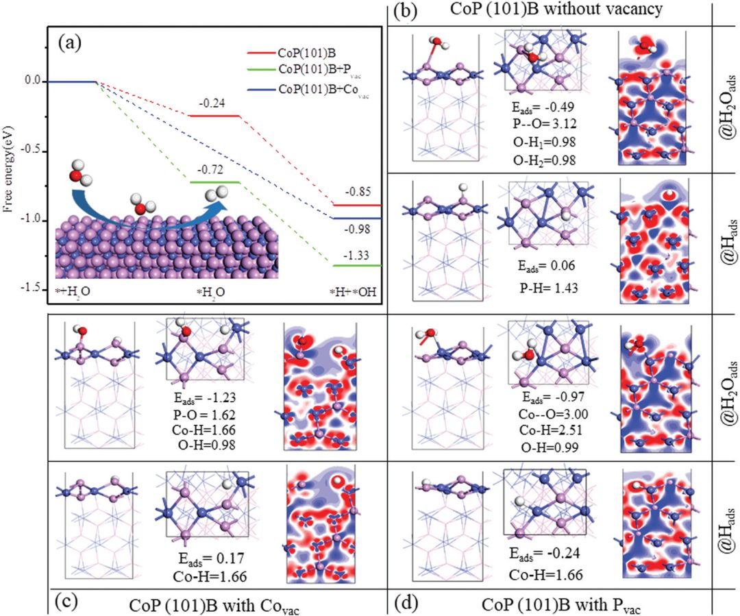 【MS純計算文章解讀】PCCP：磷化鈷（CoP）空位對水解析氫活性的影響