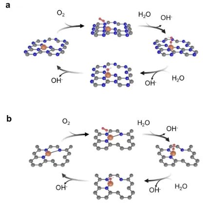 臺(tái)灣大學(xué)JACS：原子催化劑構(gòu)型的可逆調(diào)整，實(shí)現(xiàn)高效氧電還原