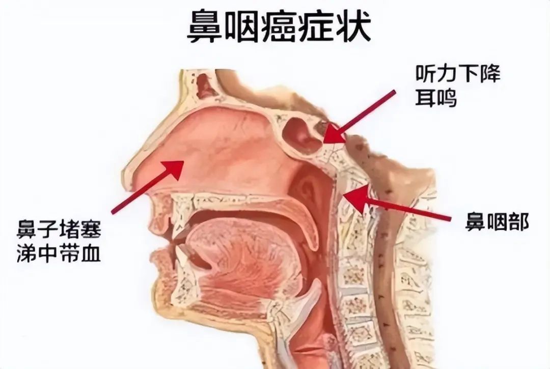 雙一流高校女教授和校門口擺攤的丈夫，女教授：他都是為了我