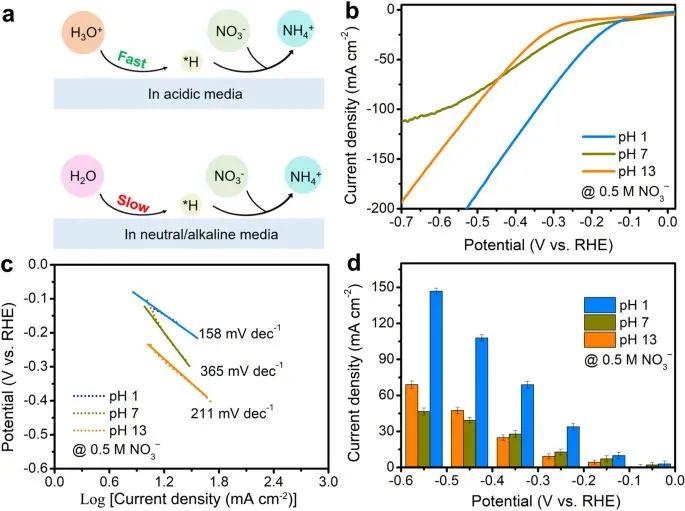 支春義教授，最新Nature子刊！