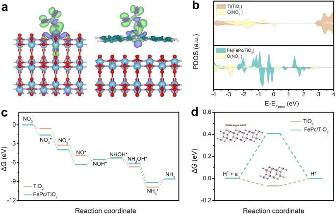 支春義教授，最新Nature子刊！