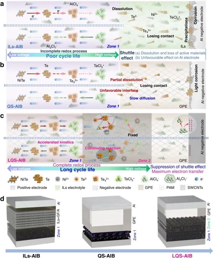 ?北科焦樹強(qiáng)等，最新Nature子刊！