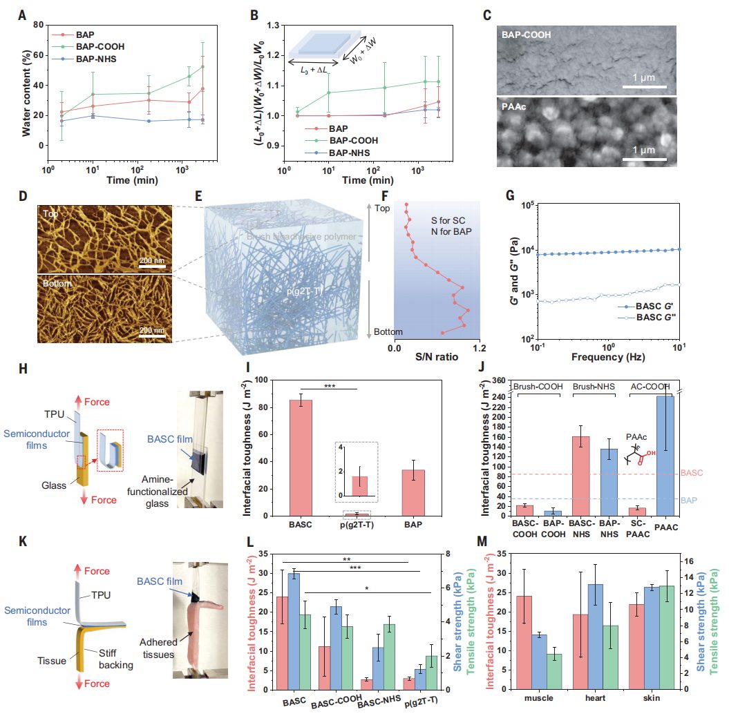 他，時(shí)隔三月，發(fā)完Nature Materials再發(fā)Science！