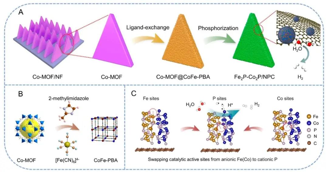 云南大學(xué)ACS Nano：Fe2P-Co2P/NPC助力高效耐用的AEMWE！