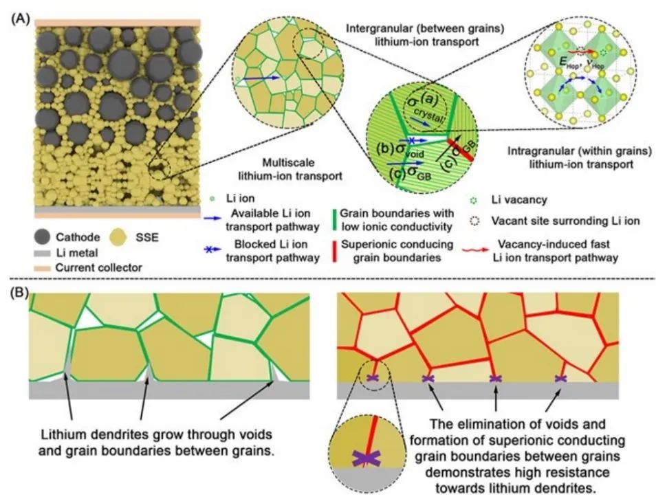 孫學(xué)良等AM：精確定制鋰離子傳輸通道實(shí)現(xiàn)超長循環(huán)無枝晶全固態(tài)鋰金屬電池