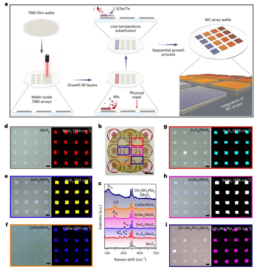 投稿到接收僅半年！廣工大黃少銘課題組最新Nature Nanotechnology！