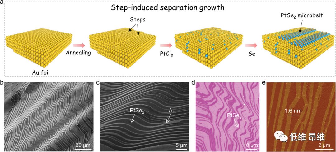 ?【DFT+實驗】AFM：在Au(001)襯底上通過臺階誘導(dǎo)的析出生長制備大面積PtSe2微米帶，用于析氫反應(yīng)