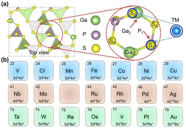 JEC：通過DFT和機(jī)器學(xué)習(xí)方法理解單原子摻雜二維GaPS4催化劑的析氫反應(yīng)活性