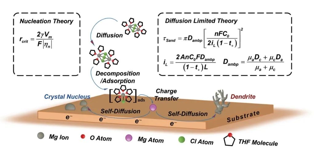 ?青能所崔光磊/杜奧冰/董杉木AM：鎂金屬負(fù)極均勻沉積行為的視角：擴(kuò)散限制理論與成核理論