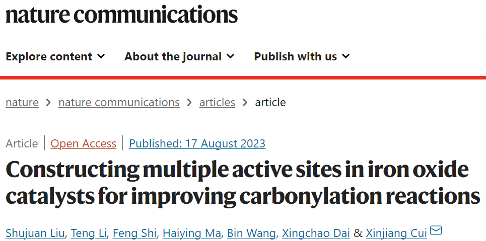 ?蘭州化物所崔新江Nature子刊：多個活性位點助力羰基化反應