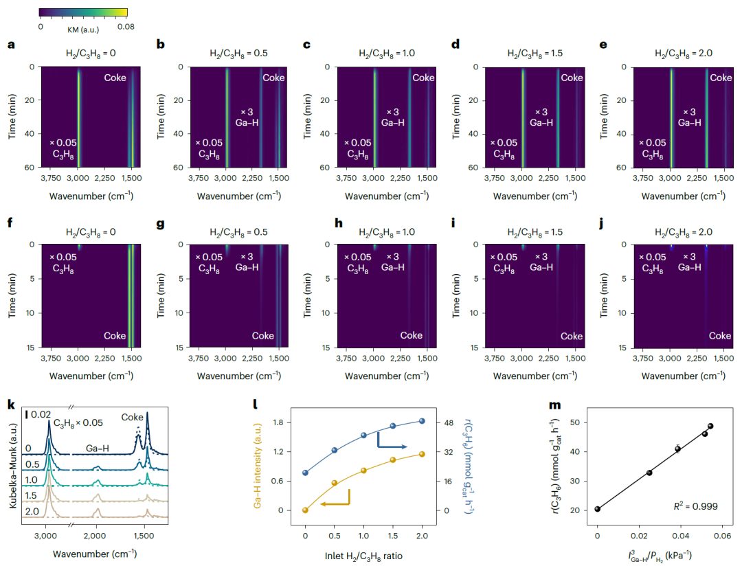 鞏金龍教授，最新Nature Chemistry！