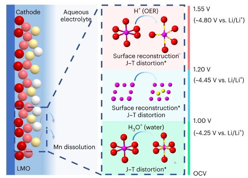 最新Nature Nanotech.：關(guān)注正極材料的降解機(jī)制