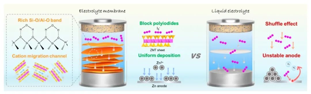 ?南工大孫庚志/南航竇輝ACS Nano: 可回收粘土基電解質(zhì)的協(xié)同離子篩分和溶劑化調(diào)節(jié)用于穩(wěn)定鋅-碘電池