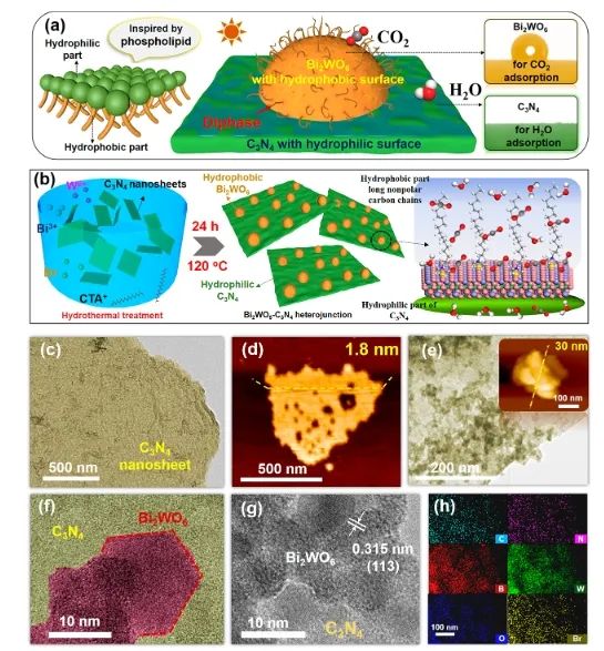 華南理工大學(xué)ACS Catalysis： 構(gòu)建疏水-親水雙相異質(zhì)結(jié)，有效促進(jìn)光催化CO2還原