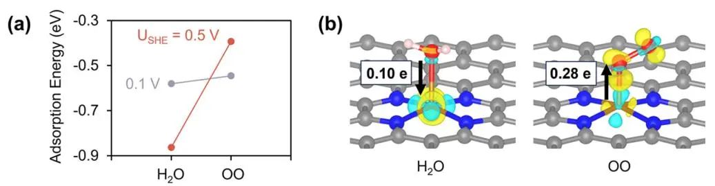 JACS：Fe-N-C催化劑在氧還原反應(yīng)中的決速步是什么?