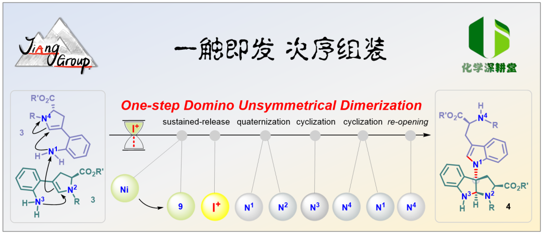 辭職讀博，科研是內(nèi)心渴望！985高校博士生兩獲突破