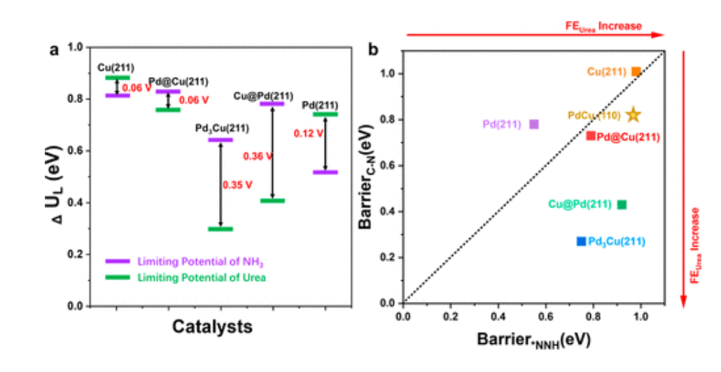 ?【頂刊純計算】ACS Catal.：鈀-銅合金電化學合成尿素的結(jié)構(gòu)敏感催化性能研究