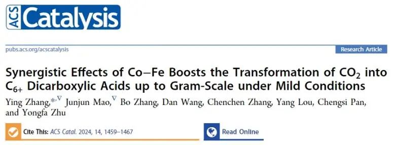 江南大學(xué)ACS Catalysis：Co-Fe協(xié)同作用立大功，實(shí)現(xiàn)溫和條件下促進(jìn)CO2轉(zhuǎn)化為C6+二元酸