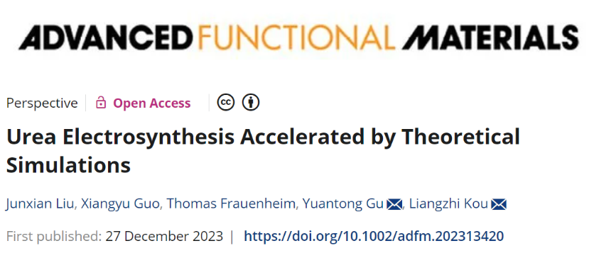 （綜述）昆士蘭科技大學(xué)寇良志教授團(tuán)隊(duì)AFM|理論模擬加速尿素電化學(xué)合成