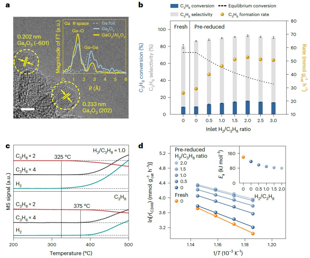 鞏金龍教授，最新Nature Chemistry！