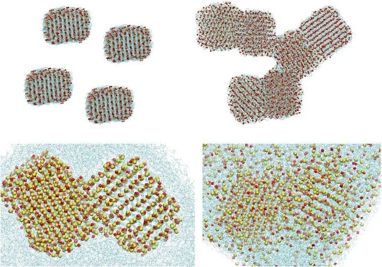 Nature Materials：一種用于鋰離子電池的軟共晶固態(tài)電解質(zhì)