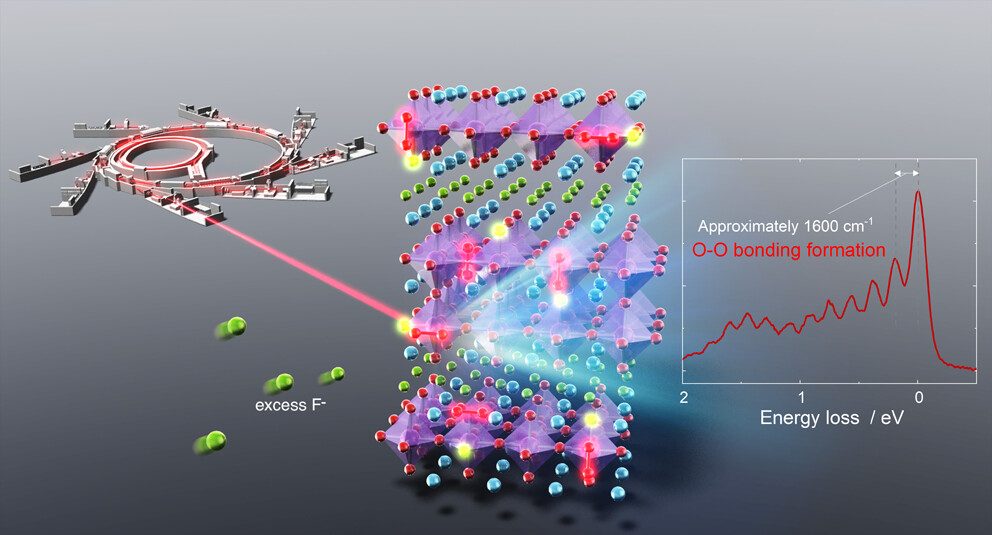 【DFT+實(shí)驗(yàn)】京都大學(xué)JACS：氟離子電池中涉及 O?O 鍵形成的高容量雙層鈣鈦礦氟氧化物正極