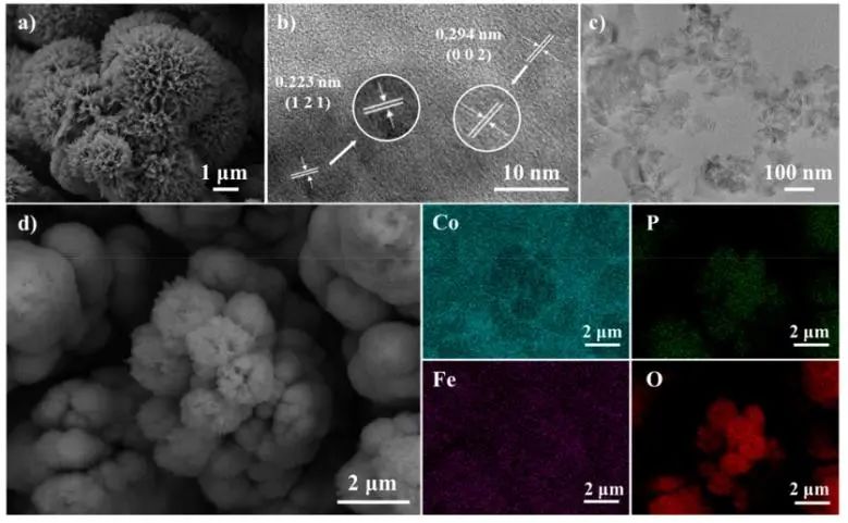 江南大學(xué)ACS Catalysis：Co-Fe協(xié)同作用立大功，實(shí)現(xiàn)溫和條件下促進(jìn)CO2轉(zhuǎn)化為C6+二元酸