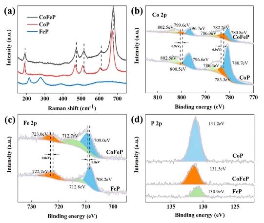 江南大學(xué)ACS Catalysis：Co-Fe協(xié)同作用立大功，實(shí)現(xiàn)溫和條件下促進(jìn)CO2轉(zhuǎn)化為C6+二元酸