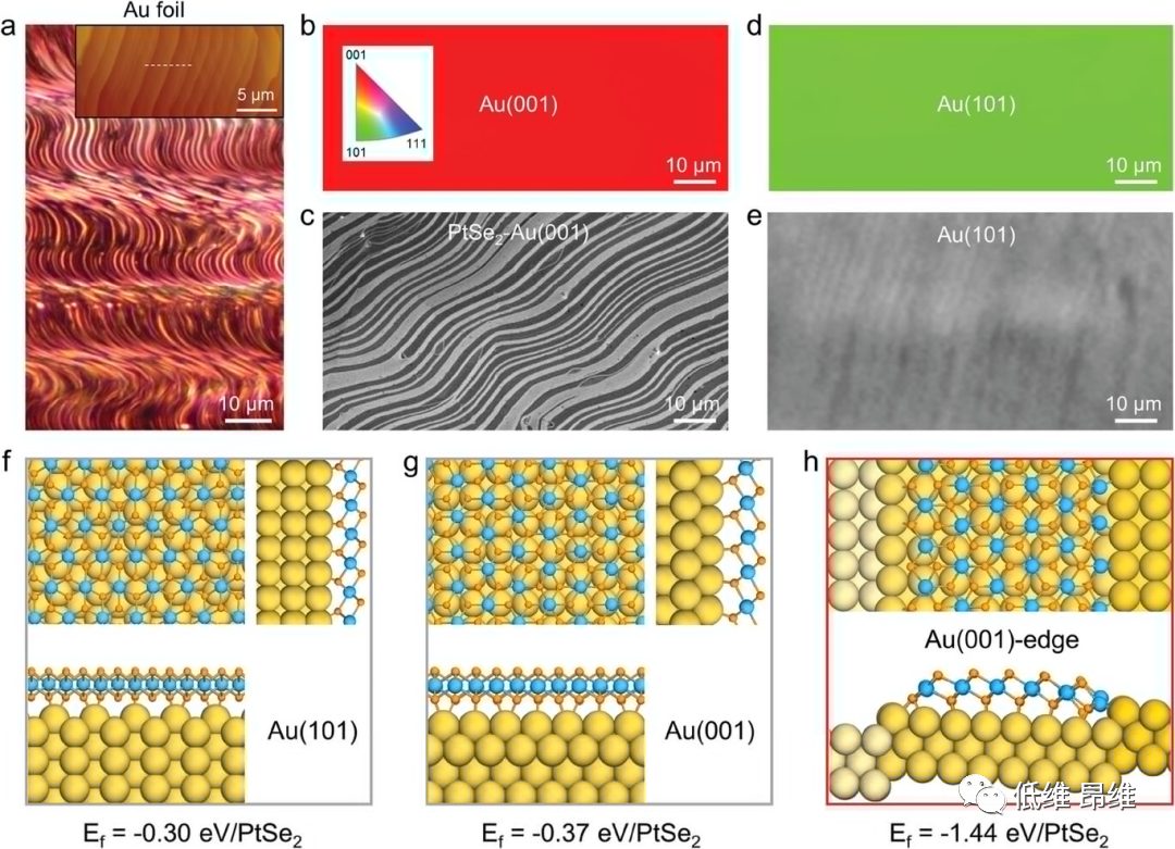 ?【DFT+實驗】AFM：在Au(001)襯底上通過臺階誘導(dǎo)的析出生長制備大面積PtSe2微米帶，用于析氫反應(yīng)