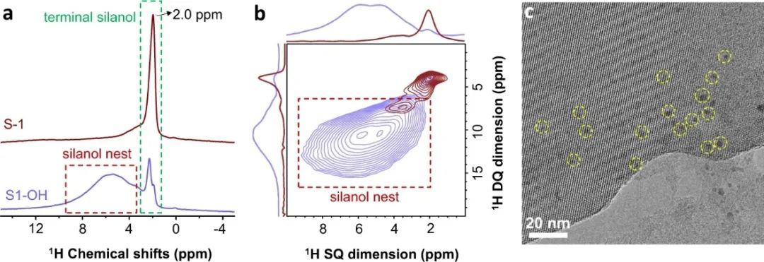 浙大肖豐收/王亮，最新Nature子刊！