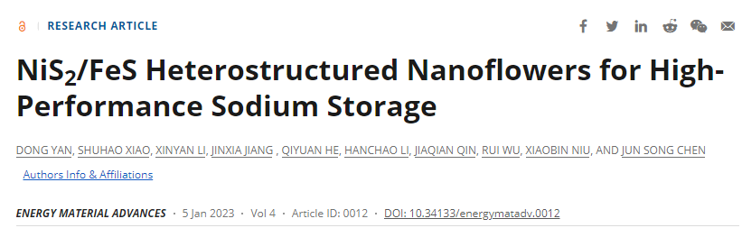 【DFT+實(shí)驗(yàn)】電子科技大學(xué)陳俊松教授團(tuán)隊(duì)EMA：具有優(yōu)異儲(chǔ)鈉性能的NiS2/FeS納米花狀異質(zhì)結(jié)材料