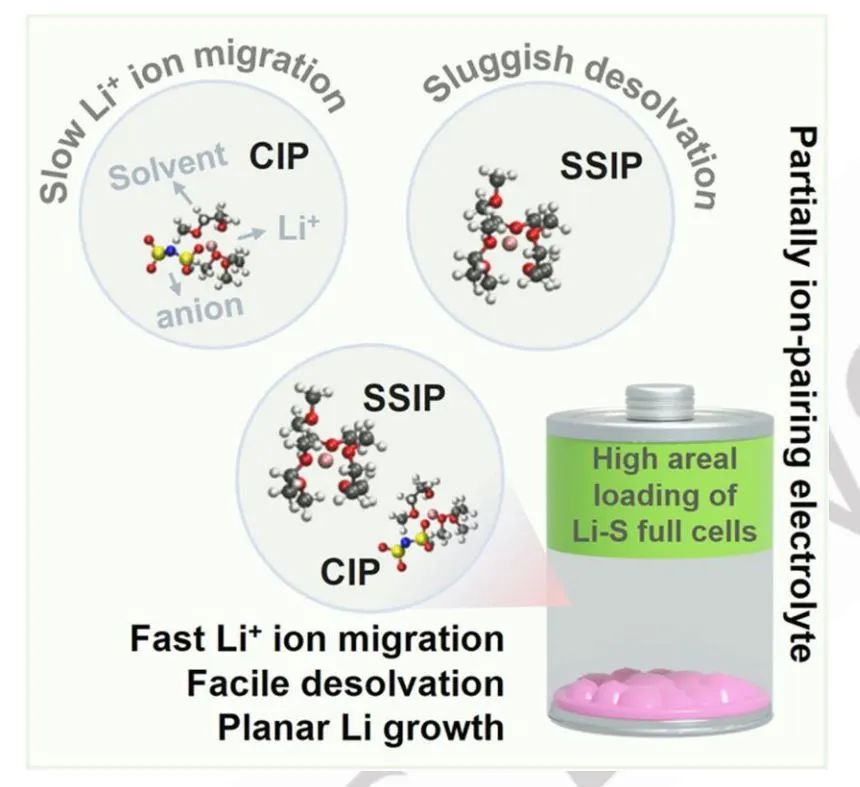 ?Angew：極端工作條件下鋰-硫電池的部分離子對(duì)溶劑化結(jié)構(gòu)設(shè)計(jì)
