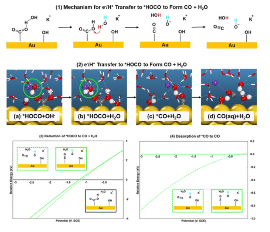 【計算文獻(xiàn)解讀】ACS Catalysis：KOH濃度的影響和OH–在CO2電催化還原中的作用