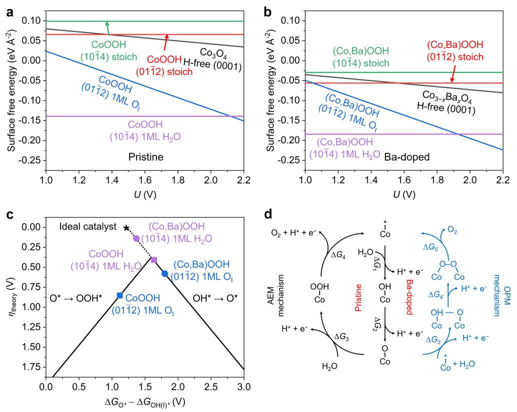 超燃！他，今日發(fā)表第16篇Nature Catalysis，第36篇JACS！