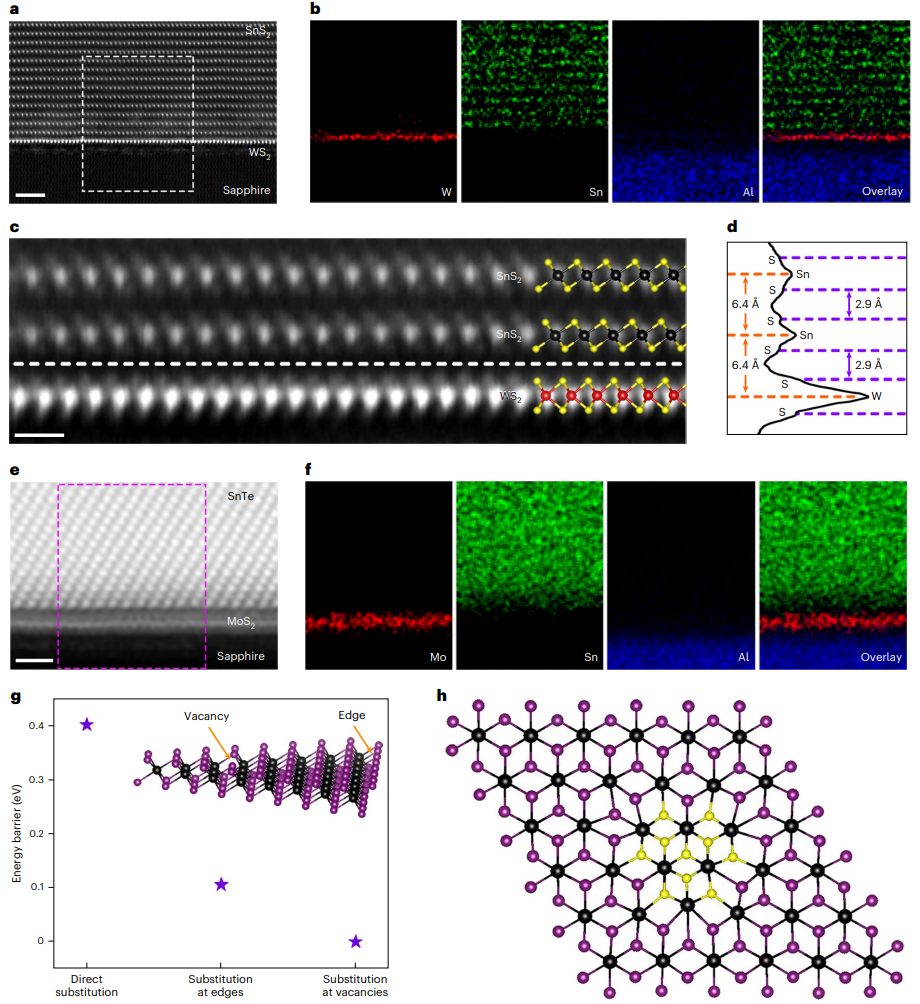 投稿到接收僅半年！廣工大黃少銘課題組最新Nature Nanotechnology！