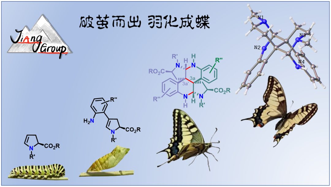 辭職讀博，科研是內(nèi)心渴望！985高校博士生兩獲突破